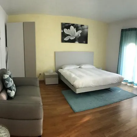 Casa Conti Al Lejlighed Ronco sopra Ascona