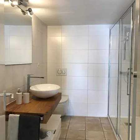 Lejlighed Casa Conti Al Ronco sopra Ascona